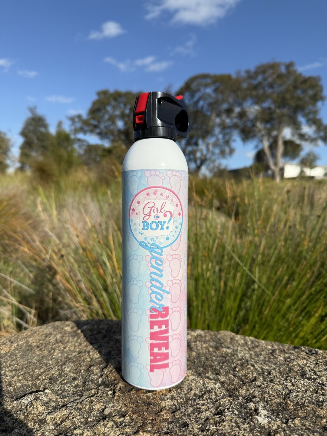 Medium Gender Reveal Extinguishers image 0