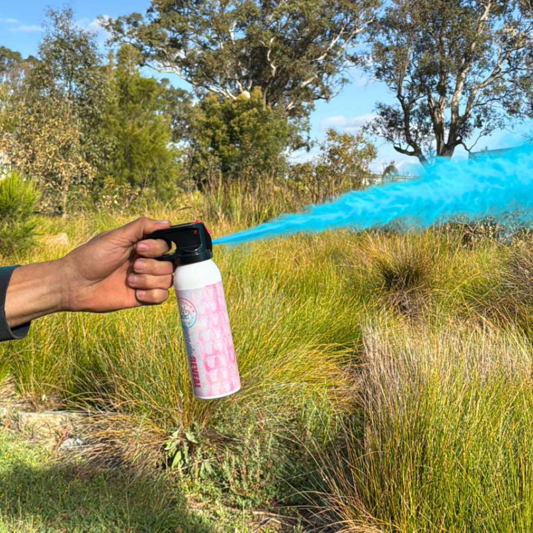Small Gender Reveal Extinguishers image 1